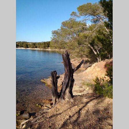 Face Mer Entre Plage Et Marina Bormes-les-Mimosas Exteriér fotografie