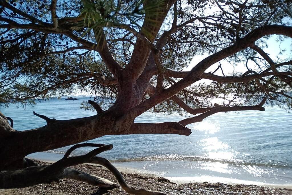 Face Mer Entre Plage Et Marina Bormes-les-Mimosas Exteriér fotografie